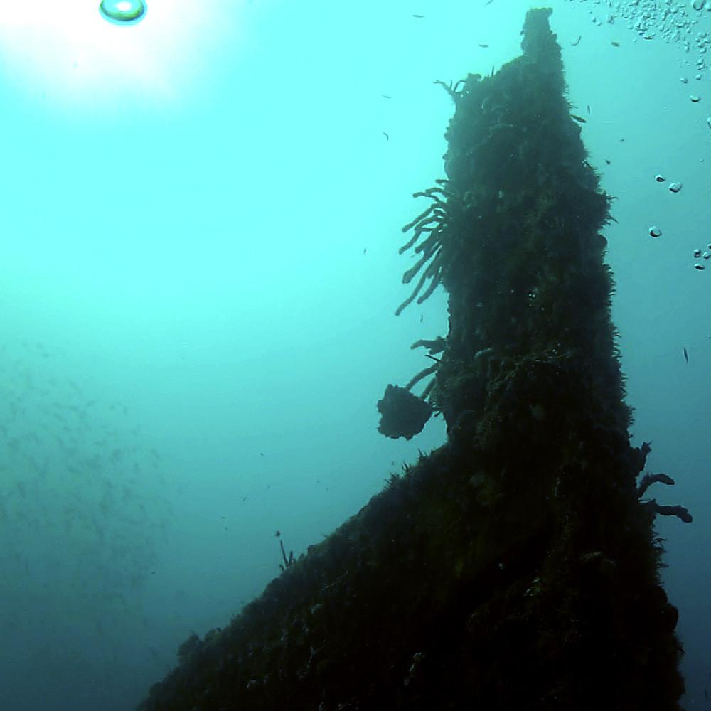 a person swimming in the water