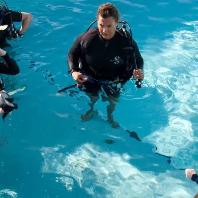 a group of people swimming in a pool of water
