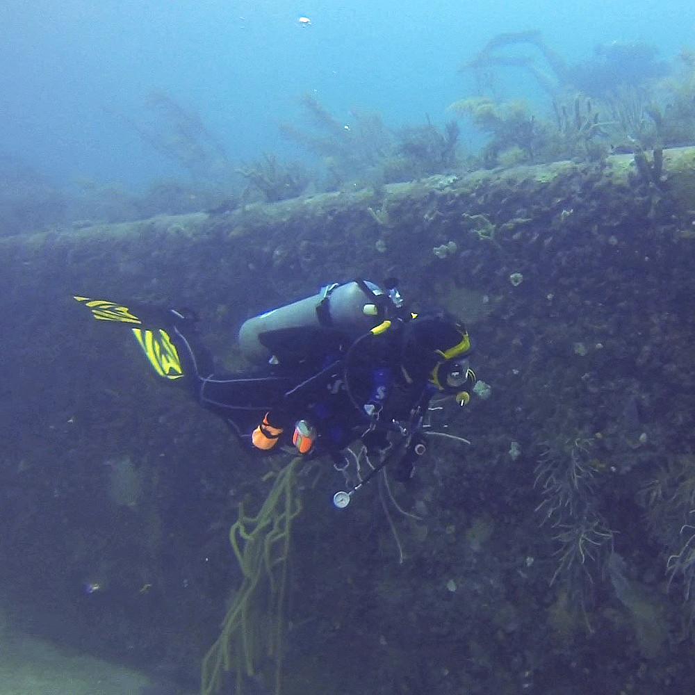 a person swimming in the water