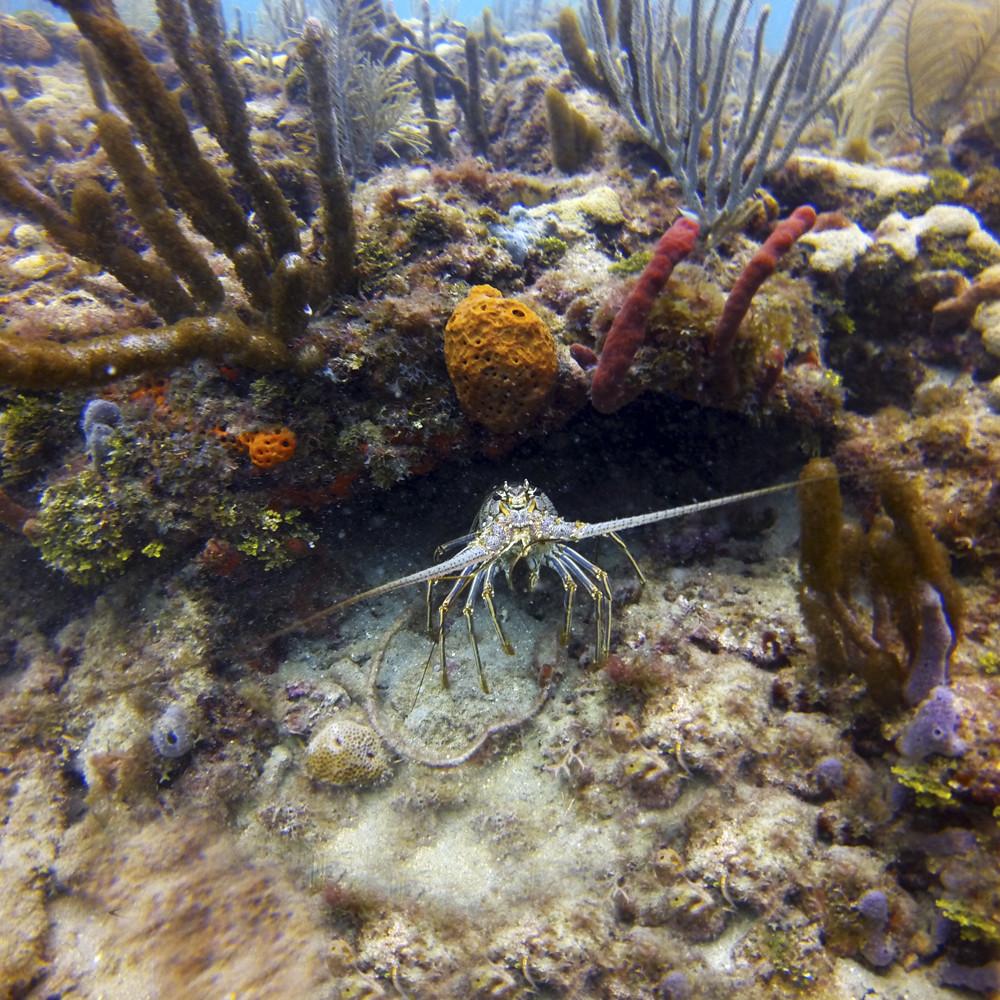 a close up of a flower